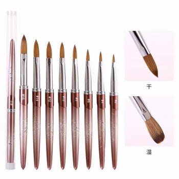 High Quality New ice flower nail art brush set color painting flower lace gradient nail art brushes