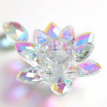 Rainbow Crystal Dappen Dish Lotus Flower Glass Acrylic Liquid Cup Nail Monomer Big Size Dappen Dish With Lid