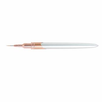 Hot Silver Private Label Needle Tube Striping Liner Nail Art Brushes Nylon Hair Painting Liner Nail Art Liner Brush 5 pcs