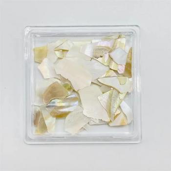 New wIrregular Abalone Chips Natural Glitter Nail Flakes Sea Shell Fragments Nail Art Decoration Charms