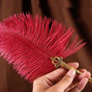Luxury Fountain Pen Set Natural Ostrich Plume Dip Quill Pen Set Calligraphy Writing Dip Pen
