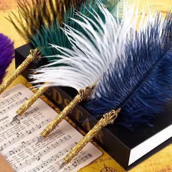 Luxury Fountain Pen Set Natural Ostrich Plume Dip Quill Pen Set Calligraphy Writing Dip Pen